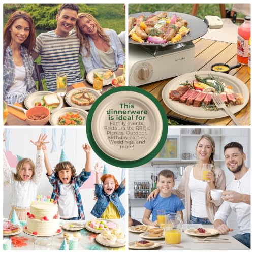 250 Piece Biodegradable Paper Plates Set Disposable Dinnerware Set