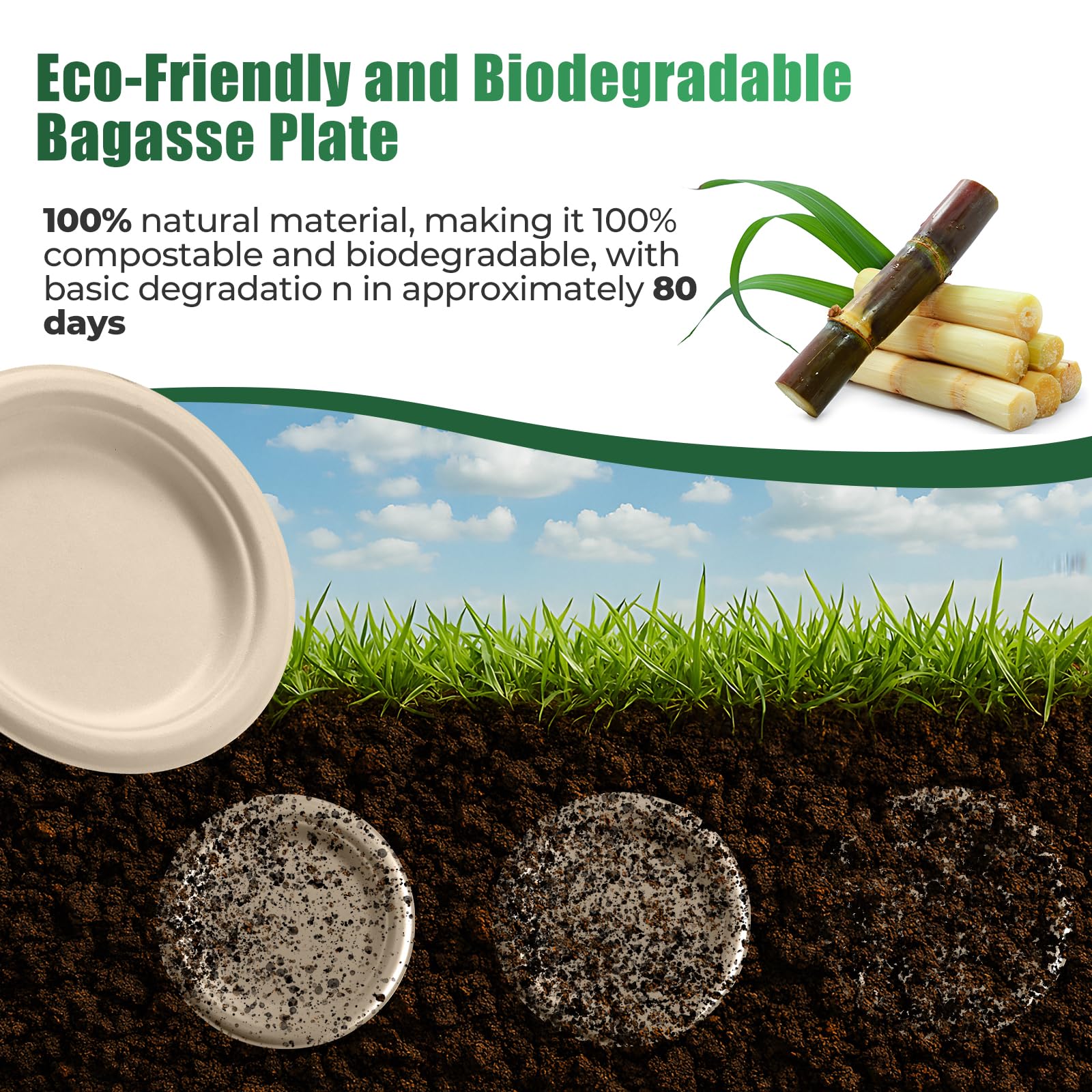 250 Piece Biodegradable Paper Plates Set Disposable Dinnerware Set