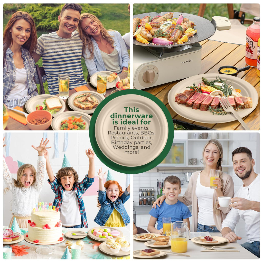 250 Piece Biodegradable Paper Plates Set Disposable Dinnerware Set